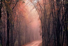 巴恩斯利主场告捷，取得联赛两连胜的简单介绍